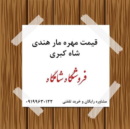 قیمت مهره مار شاه کبری