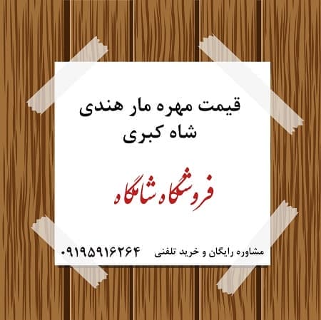 قیمت مهره مار شاه کبری