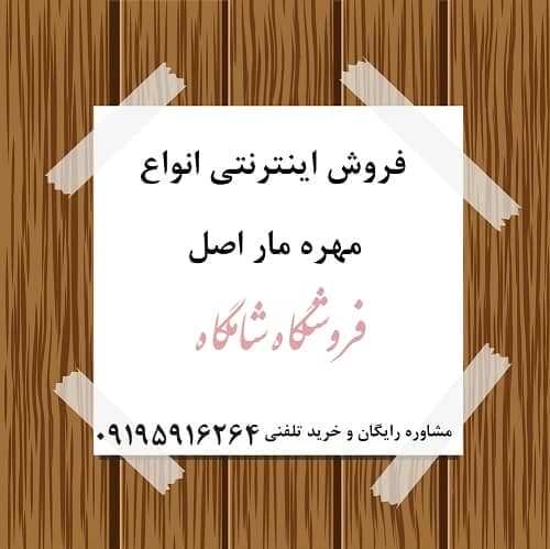 فروش اینترنتی مهره مار