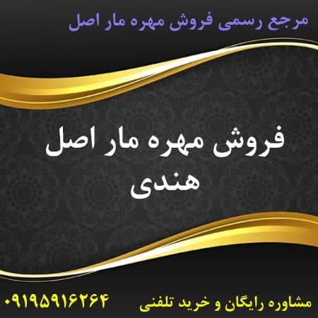 مراکز فروش مهره مار