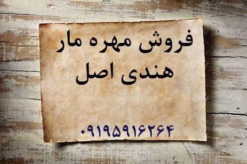 فروش مهره مار هندی اصل