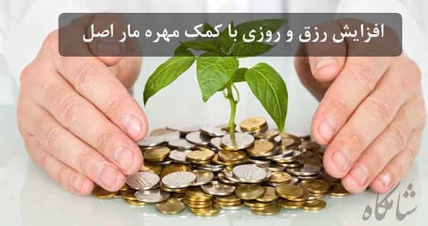 مهره مار و ثروت