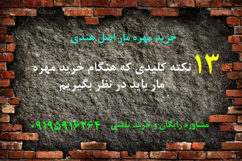 نکات مهره مار هنگام خرید مهره مار