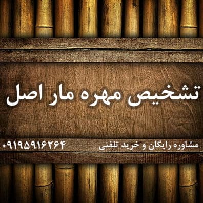 تشخیص مهره مار اصل