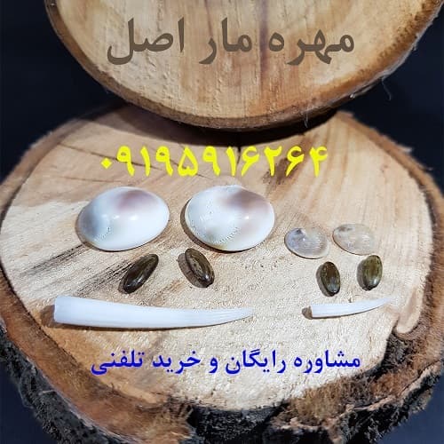 مهره مار چیست