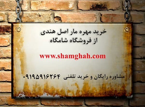 خرید مهره مار شامگاه