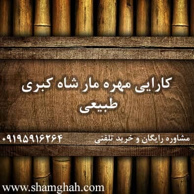 کارایی مهره مار شاه کبری