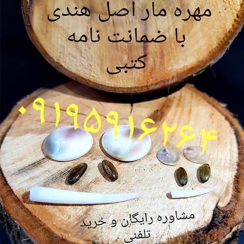 انواع مهره مار