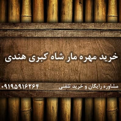 خرید مهره مار شاه کبری