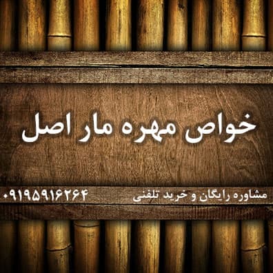 خواص مهره مار اصلی