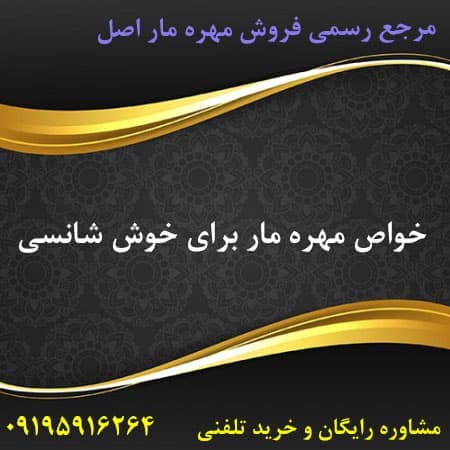 خواص مهره مار برای خوش شانسی