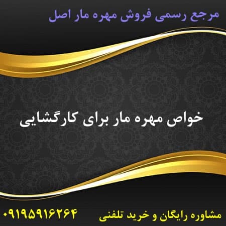 خواص مهره مار برای کارگشایی