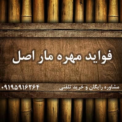 فواید مهره مار اصلی