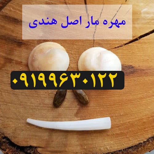 مهره مار اصل مهره مار اصل