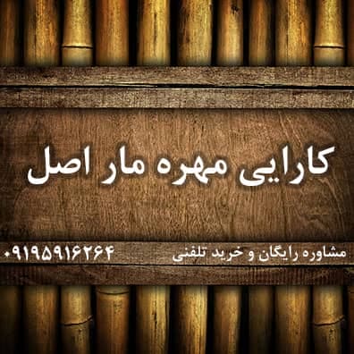 کارایی مهره مار اصلی