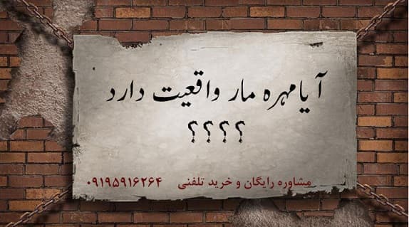 واقعیت مهره مار
