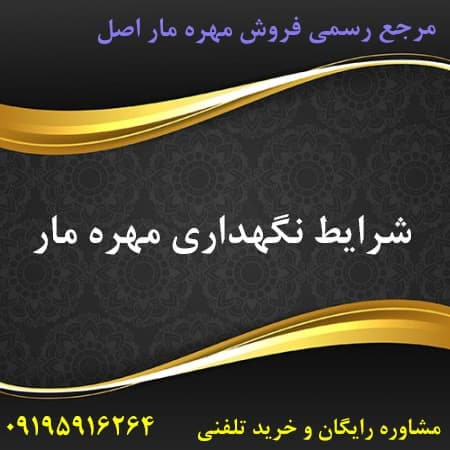 شرایط نگهداری مهره مار