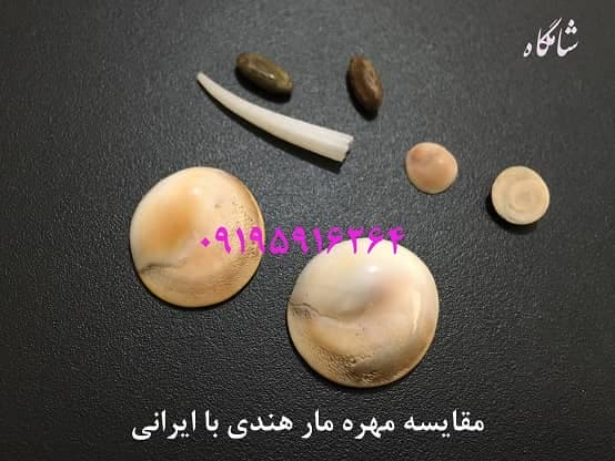مقایسه مهره مار ایرانی با هندی