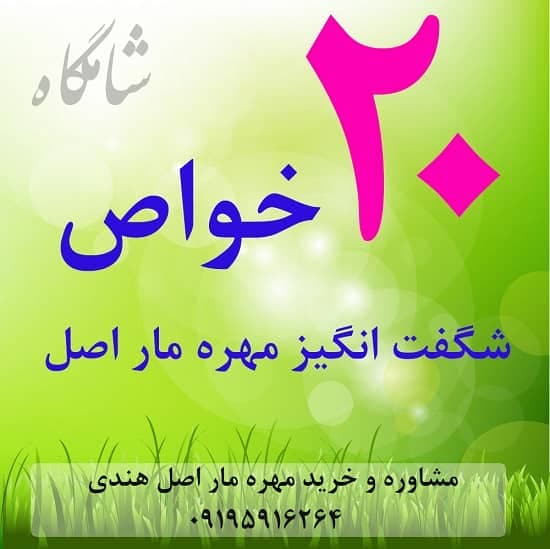 20 خاصیت شگفت انگیز مهره مار