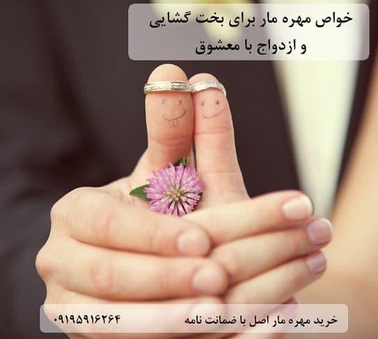خواص مهره مار برای بخت گشایی