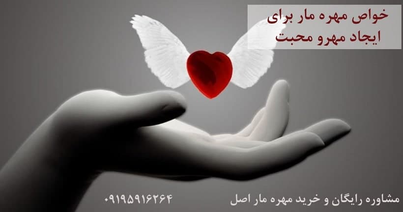 خواص مهره مار برای مهرو محبت