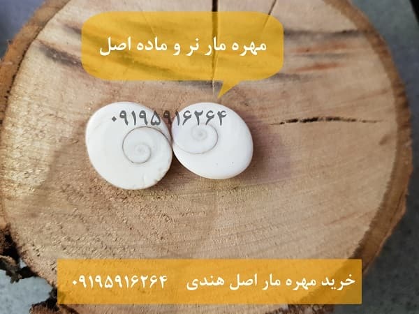 عکس مهره مار جفت