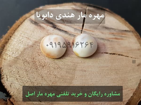 شکل مهره مار دابویا