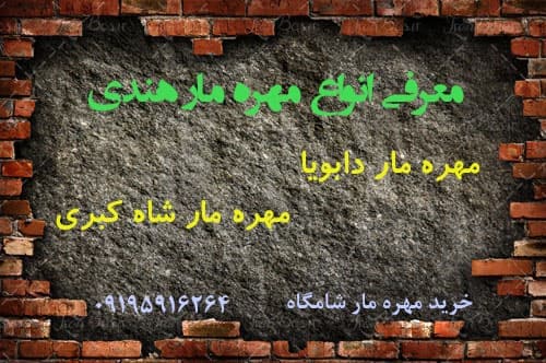 معرفی انواع مهره مار