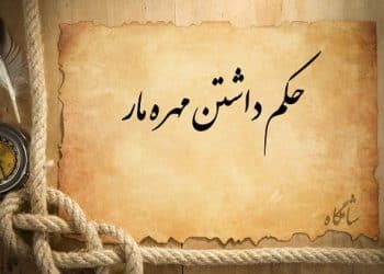 حکم داشتن مهره مار چیست